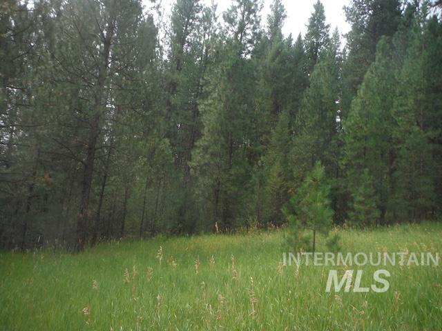 Tbd Beaver Creek Rd Lot 79 Property Photo 4