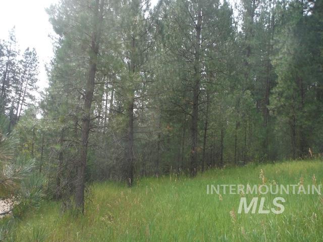 Tbd Beaver Creek Rd Lot 79 Property Photo 5