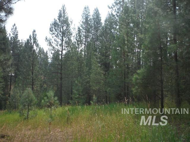 Tbd Beaver Creek Rd Lot 79 Property Photo 6
