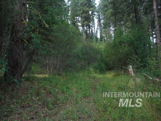 Tbd Beaver Creek Rd Lot 79 Property Photo 7