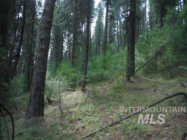 Tbd Beaver Creek Rd Lot 79 Property Photo 8