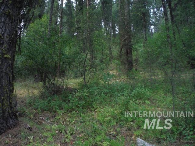 Tbd Beaver Creek Rd Lot 79 Property Photo 9
