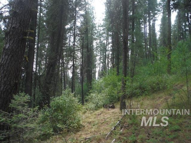 Tbd Beaver Creek Rd Lot 79 Property Photo 10