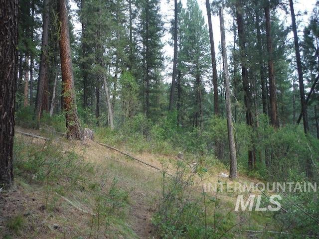 Tbd Beaver Creek Rd Lot 79 Property Photo 11