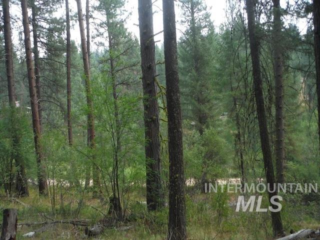 Tbd Beaver Creek Rd Lot 79 Property Photo 12