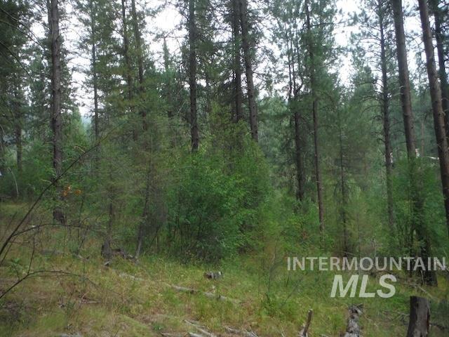 Tbd Beaver Creek Rd Lot 79 Property Photo 13