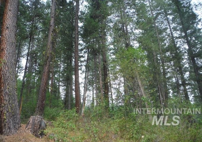 Tbd Beaver Creek Rd Lot 79 Property Photo 14