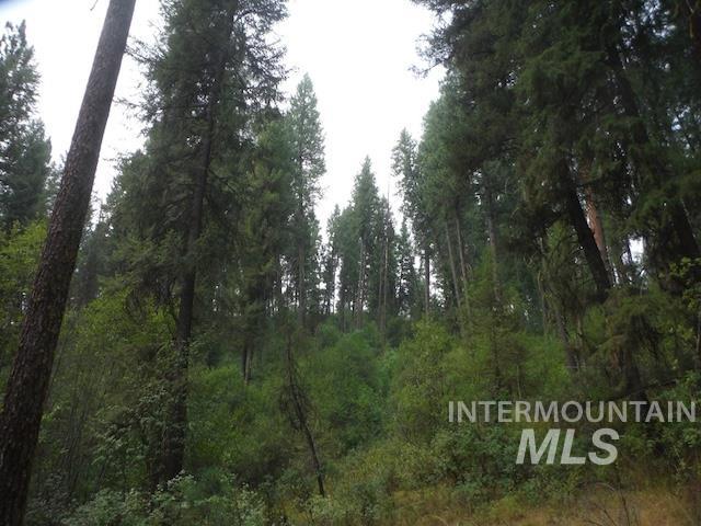 Tbd Beaver Creek Rd Lot 79 Property Photo 15