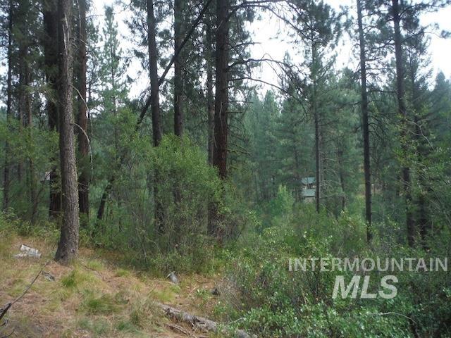 Tbd Beaver Creek Rd Lot 79 Property Photo 16