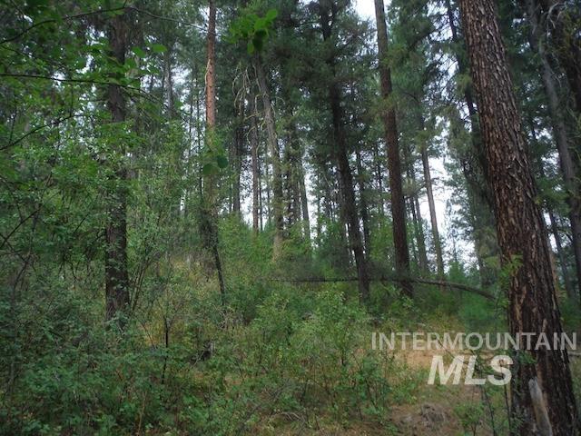 Tbd Beaver Creek Rd Lot 79 Property Photo 17