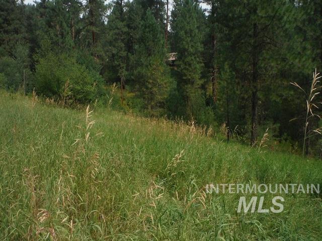 Tbd Beaver Creek Rd Lot 90-93-94 Property Photo 1