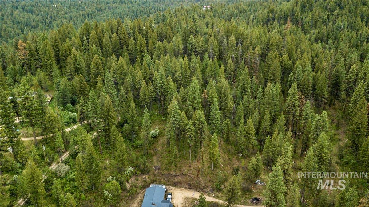 Tbd Red Fir Pl - 10 Acres Property Photo 2