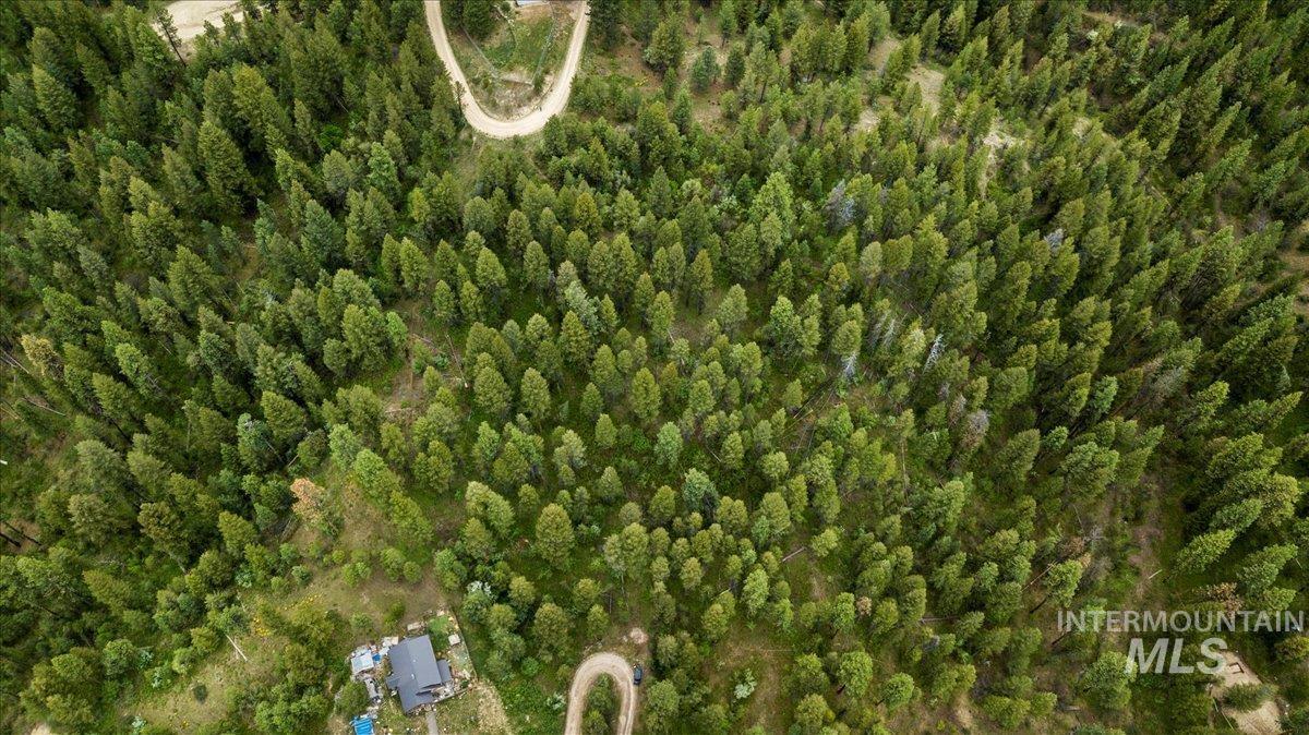 Tbd Red Fir Pl - 10 Acres Property Photo 7
