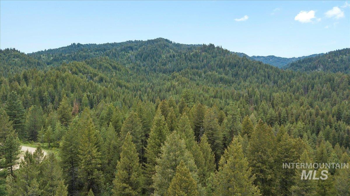 Tbd Red Fir Pl - 10 Acres Property Photo 11