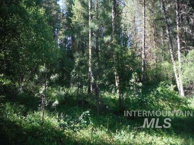 Tbd Red Fir Pl - 10 Acres Property Photo 20
