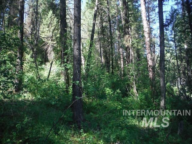 Tbd Red Fir Pl - 10 Acres Property Photo 21