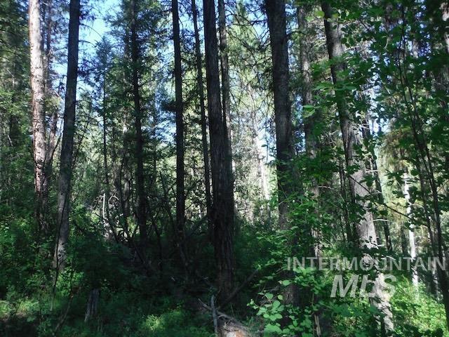 Tbd Red Fir Pl - 10 Acres Property Photo 22