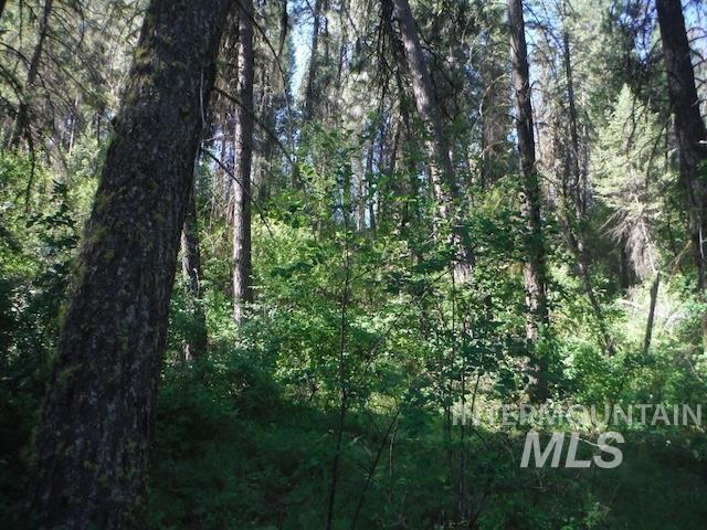 Tbd Red Fir Pl - 10 Acres Property Photo 23