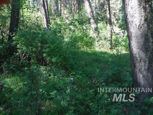 Tbd Red Fir Pl - 10 Acres Property Photo 24