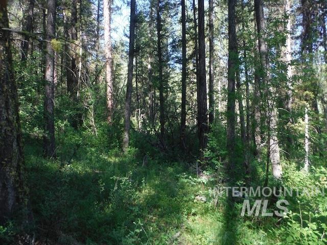 Tbd Red Fir Pl - 10 Acres Property Photo 25