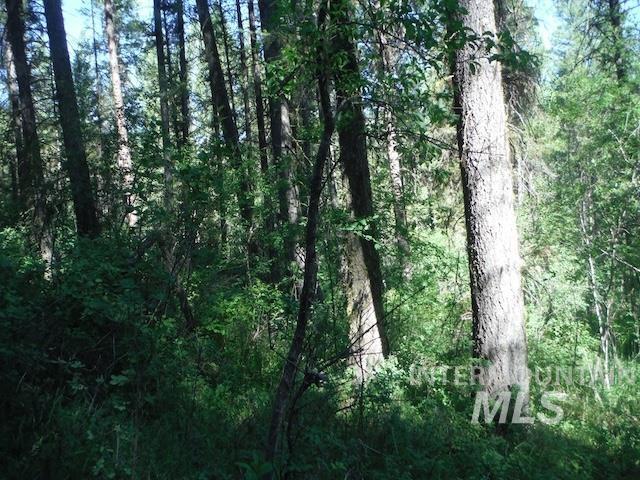 Tbd Red Fir Pl - 10 Acres Property Photo 26