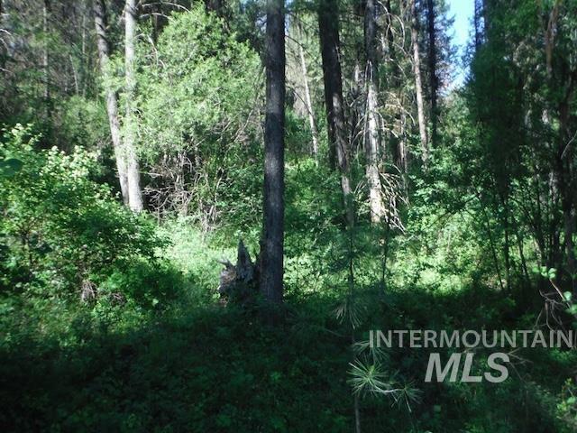 Tbd Red Fir Pl - 10 Acres Property Photo 28