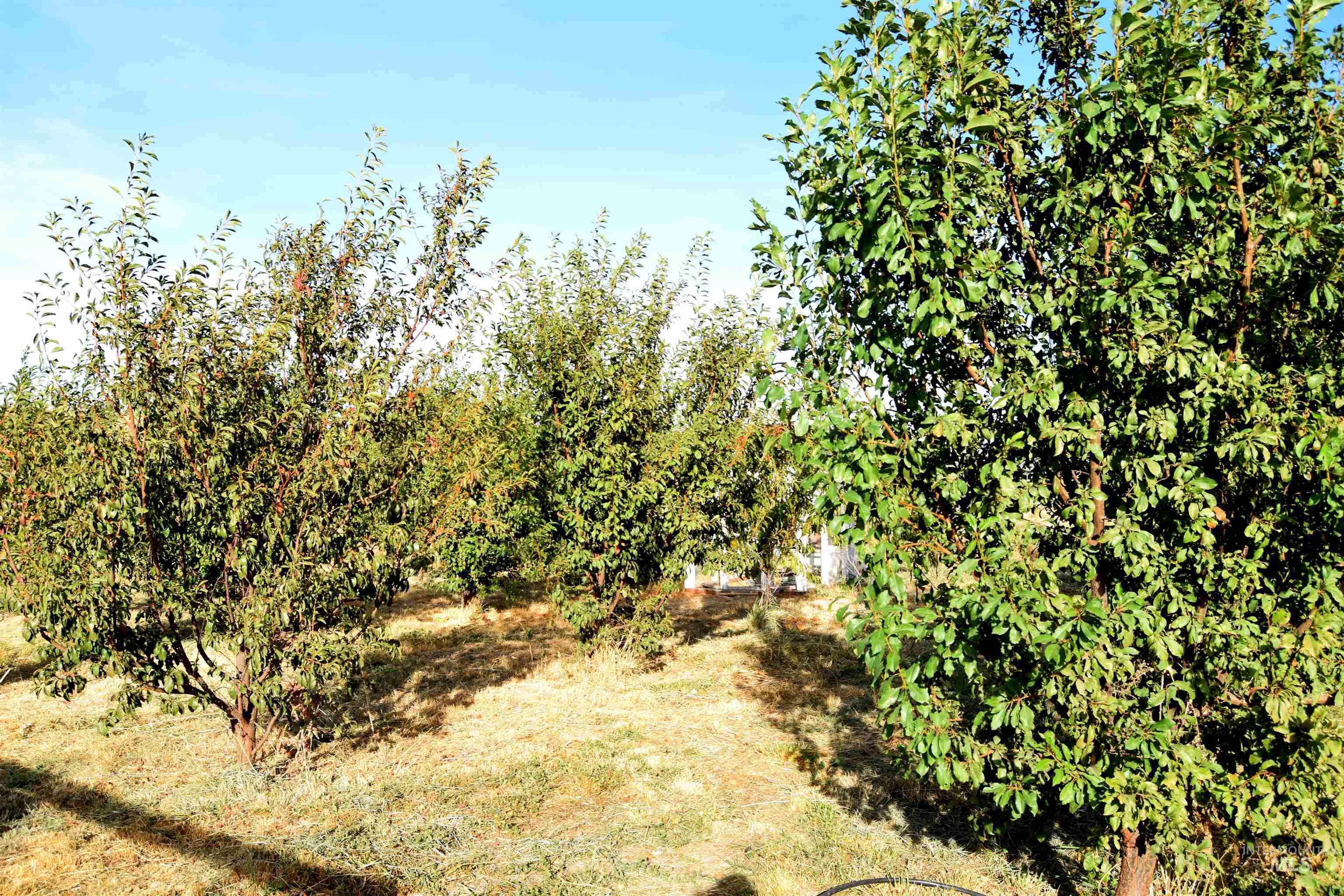 5654 Hillview Rd. Property Photo 30