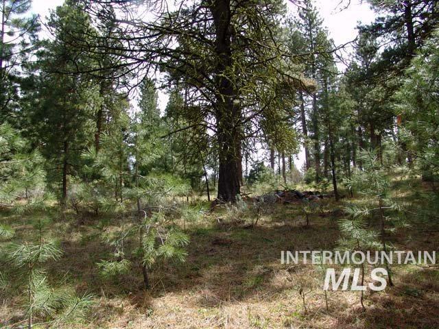 1483 Pine Lakes Ranch Rd Property Photo 2