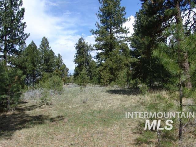 1483 Pine Lakes Ranch Rd Property Photo 4