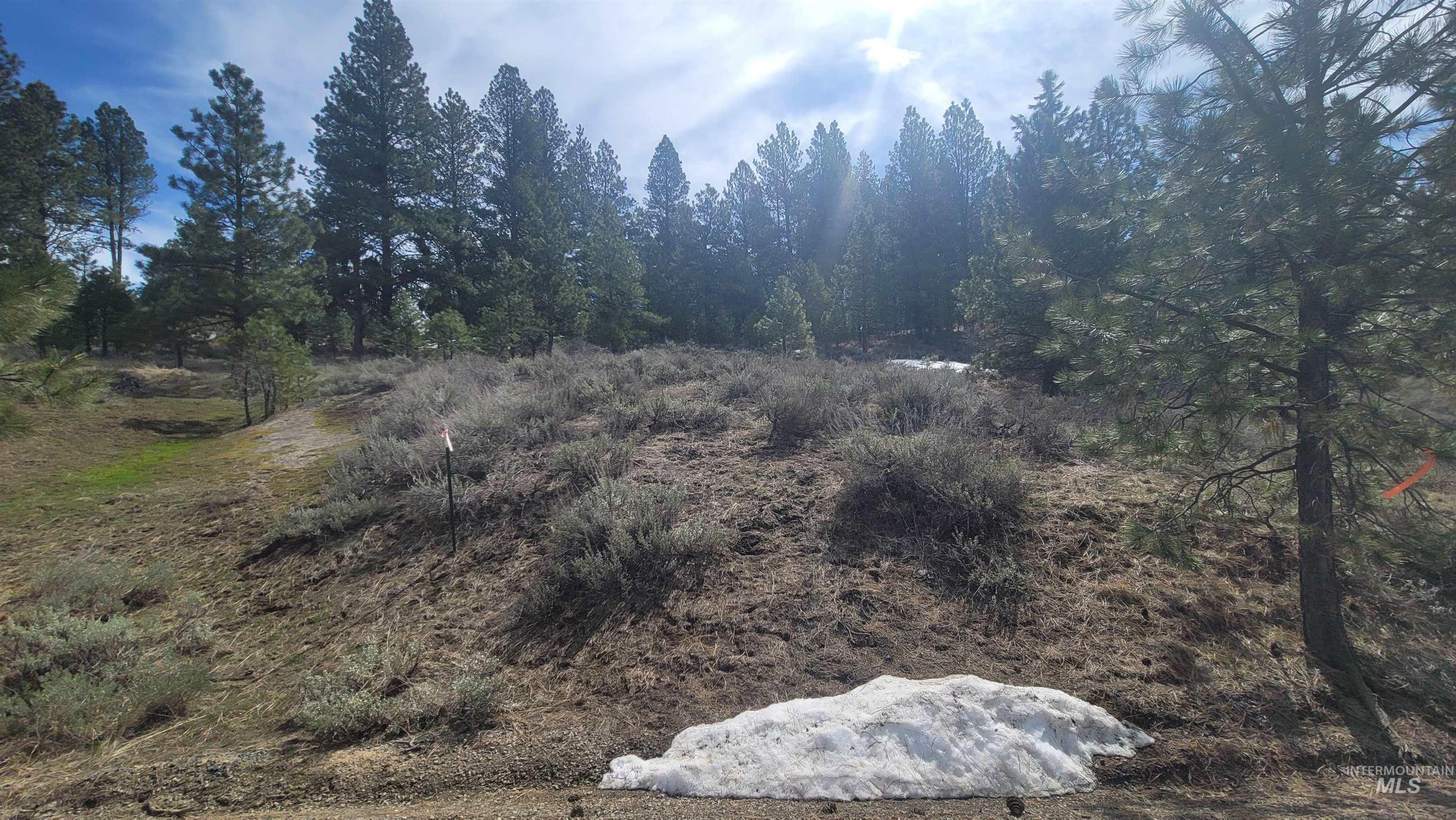 1483 Pine Lakes Ranch Rd Property Photo 11