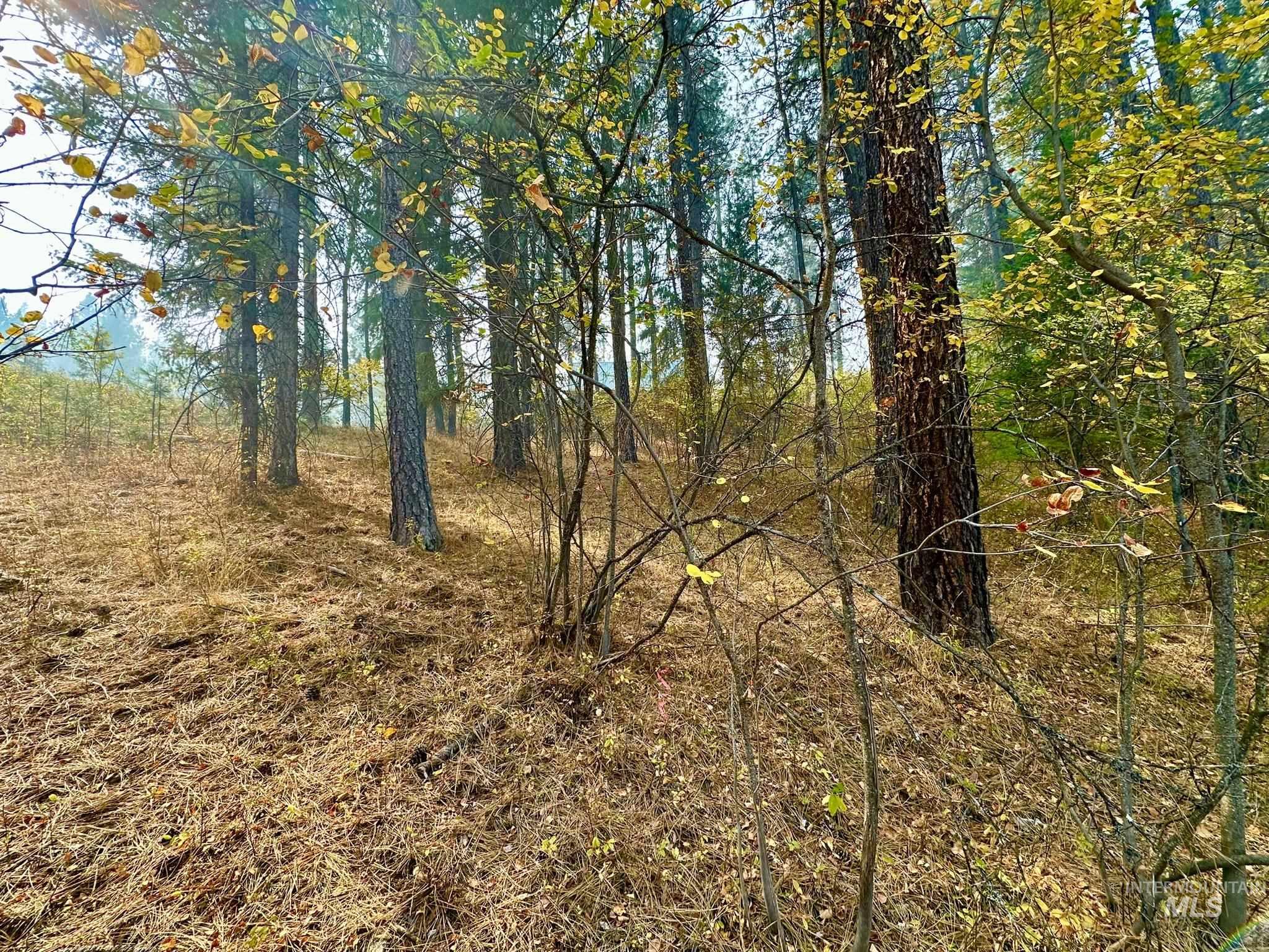 Lot 85 Happy Hollow Dr Property Photo