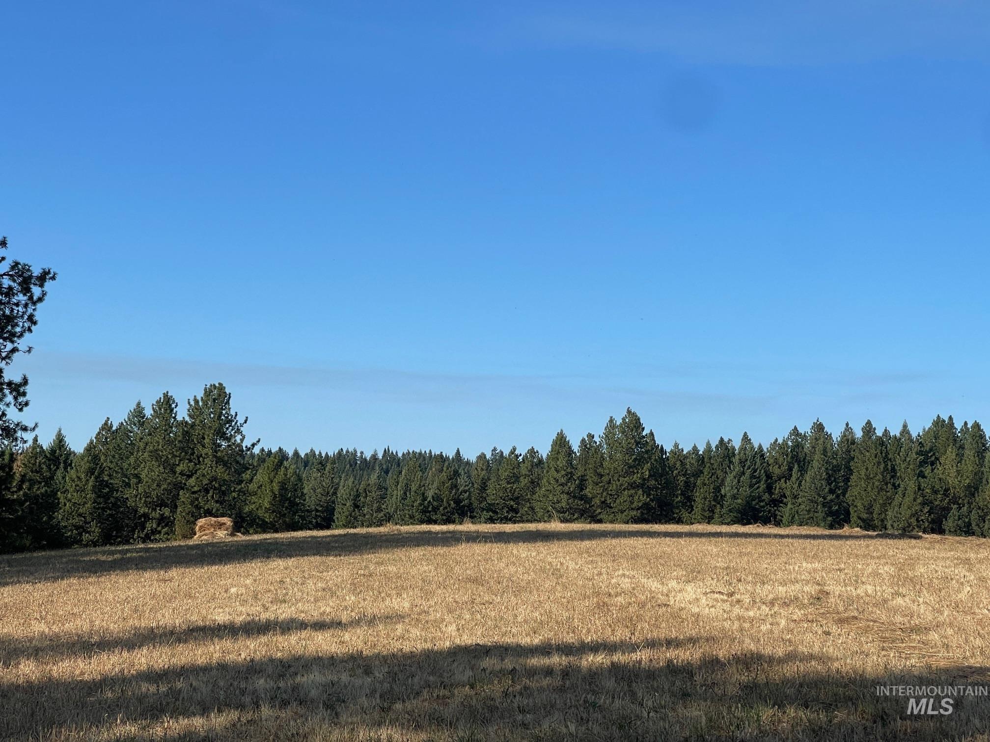 181 Harris Ridge Loop Property Photo 4