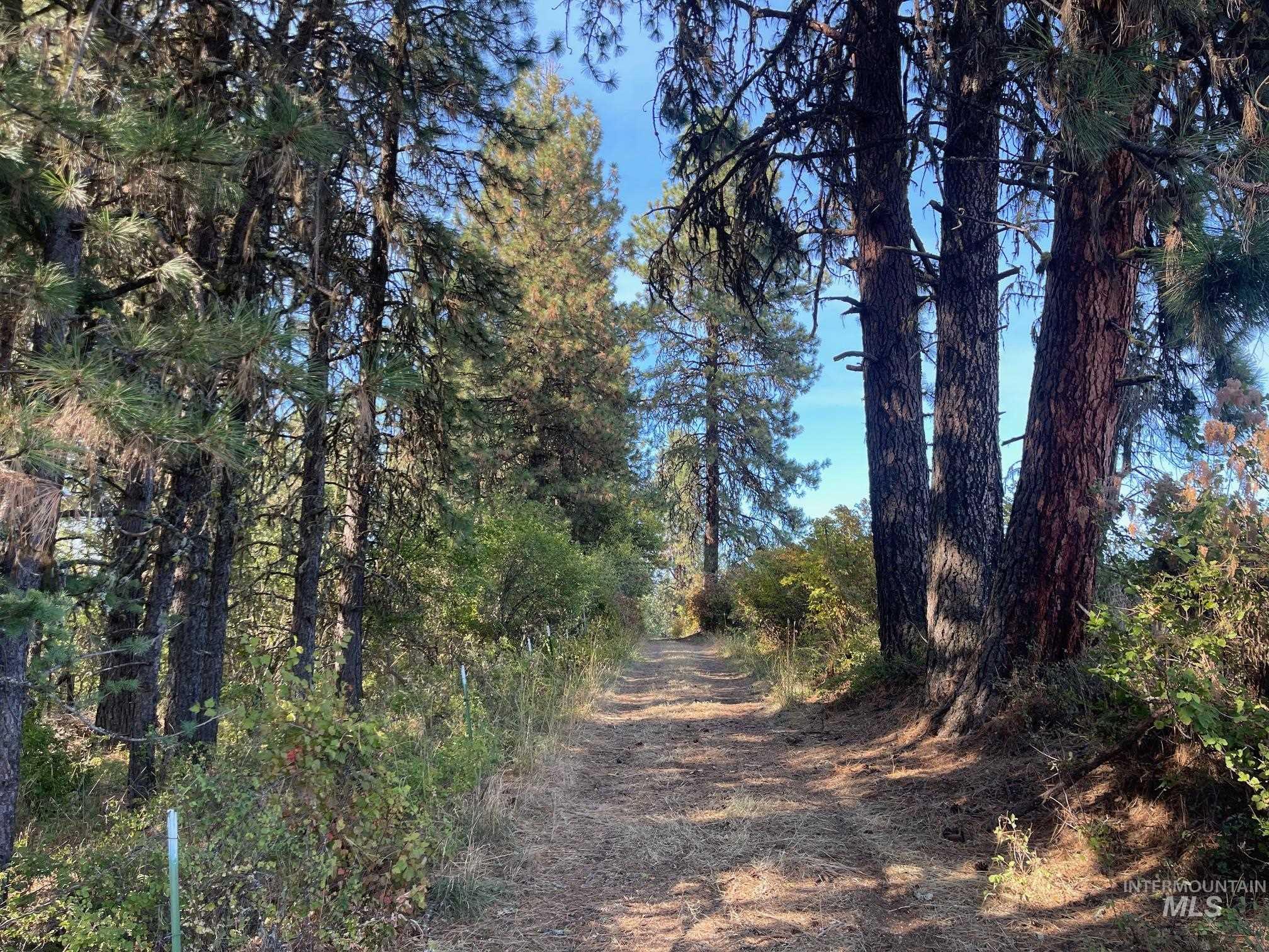 181 Harris Ridge Loop Property Photo 7