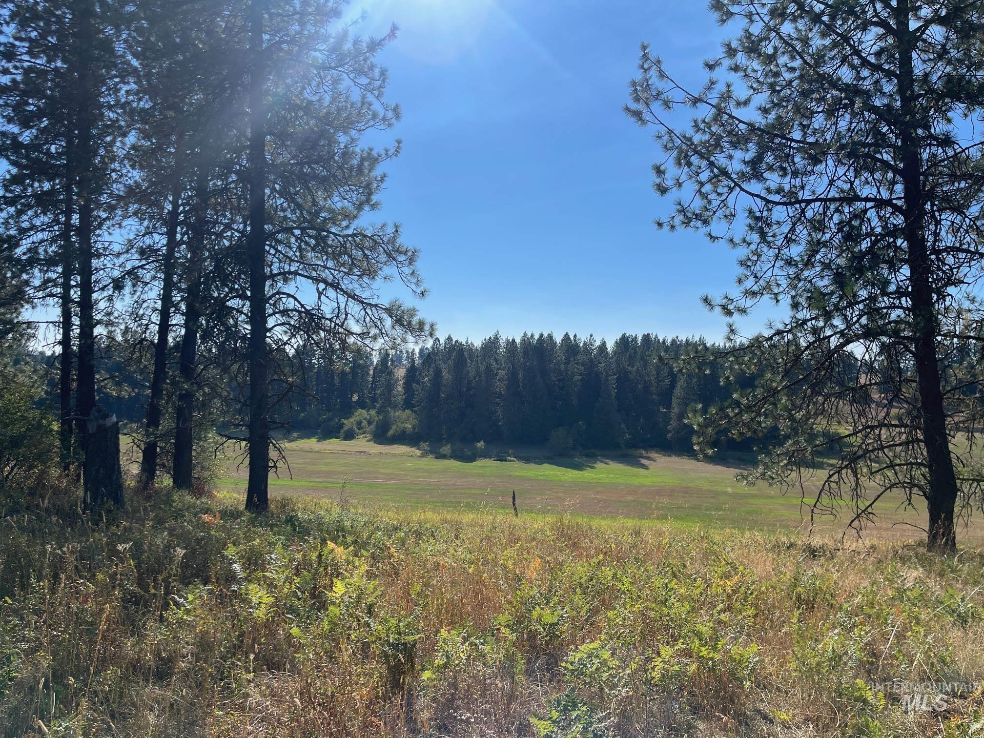181 Harris Ridge Loop Property Photo 8