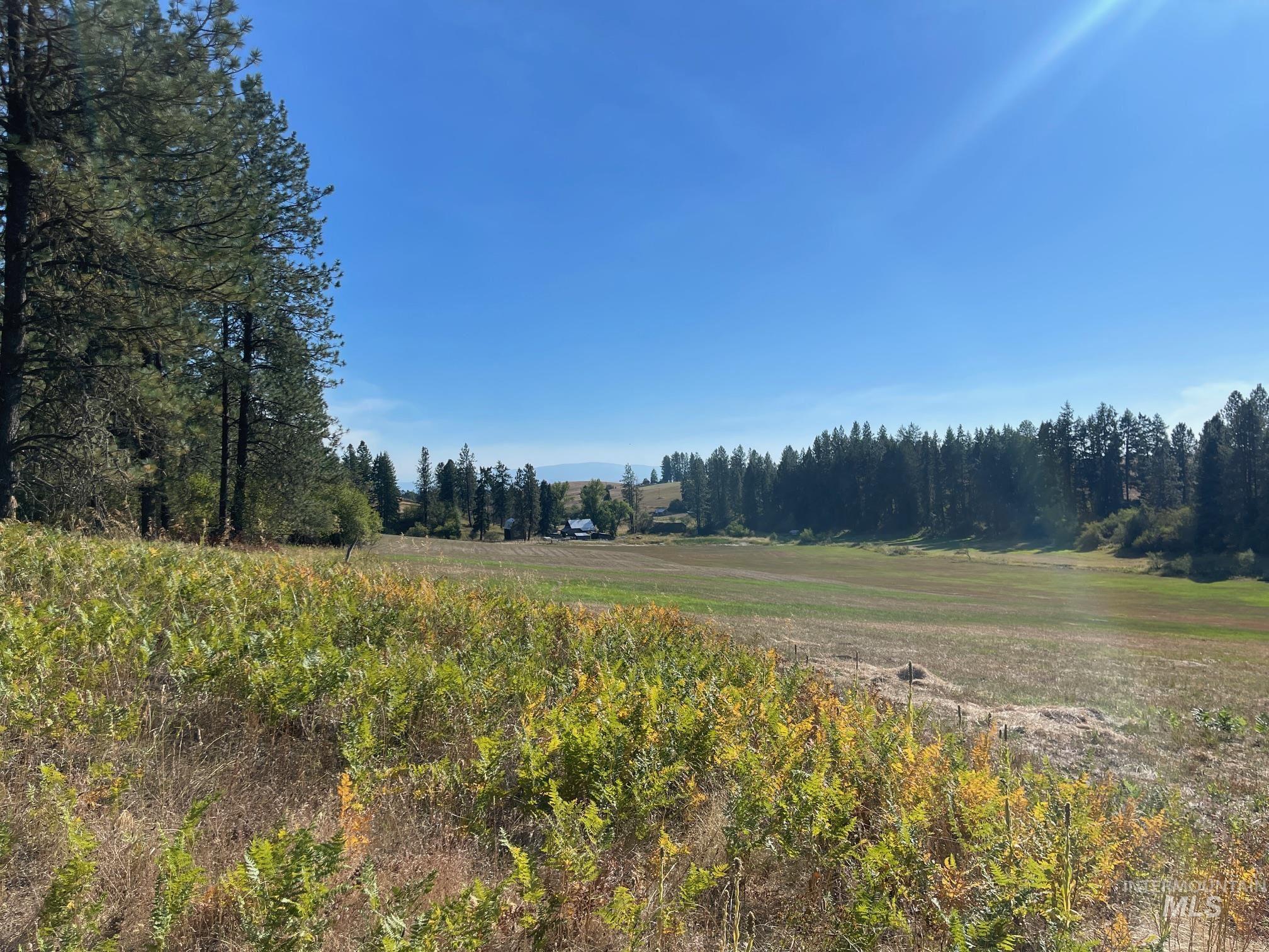 181 Harris Ridge Loop Property Photo 9
