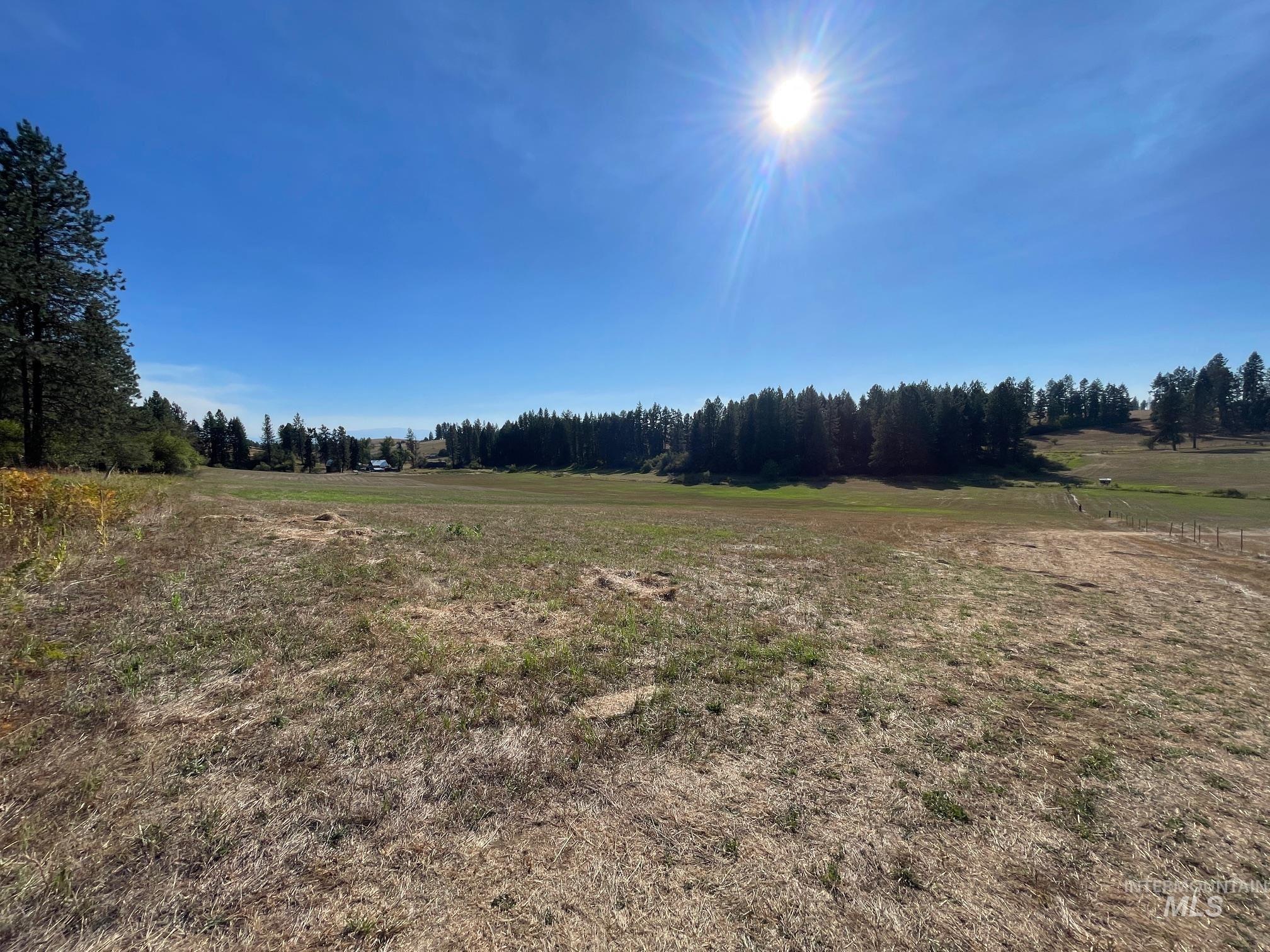 181 Harris Ridge Loop Property Photo 10