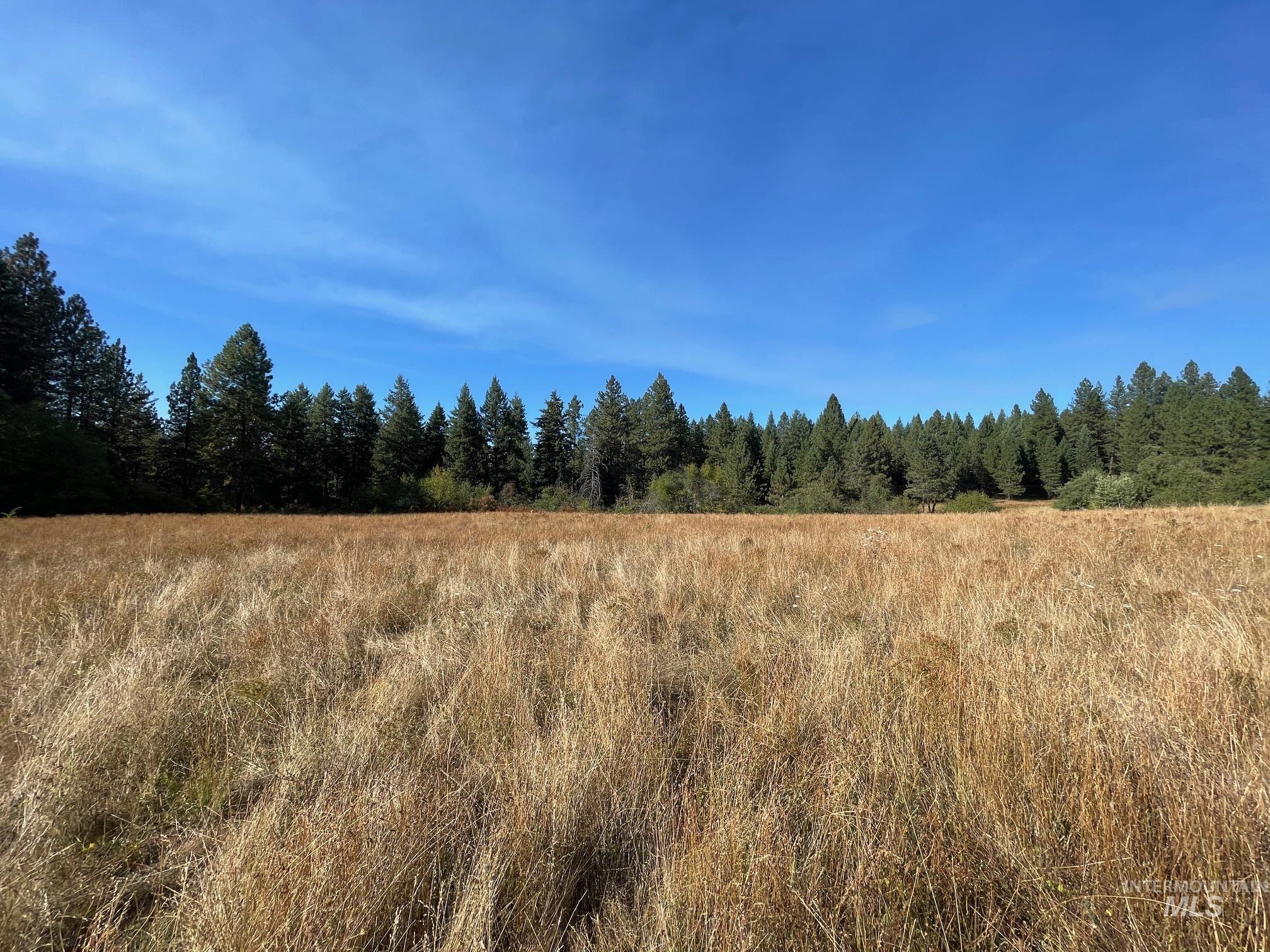 181 Harris Ridge Loop Property Photo 11