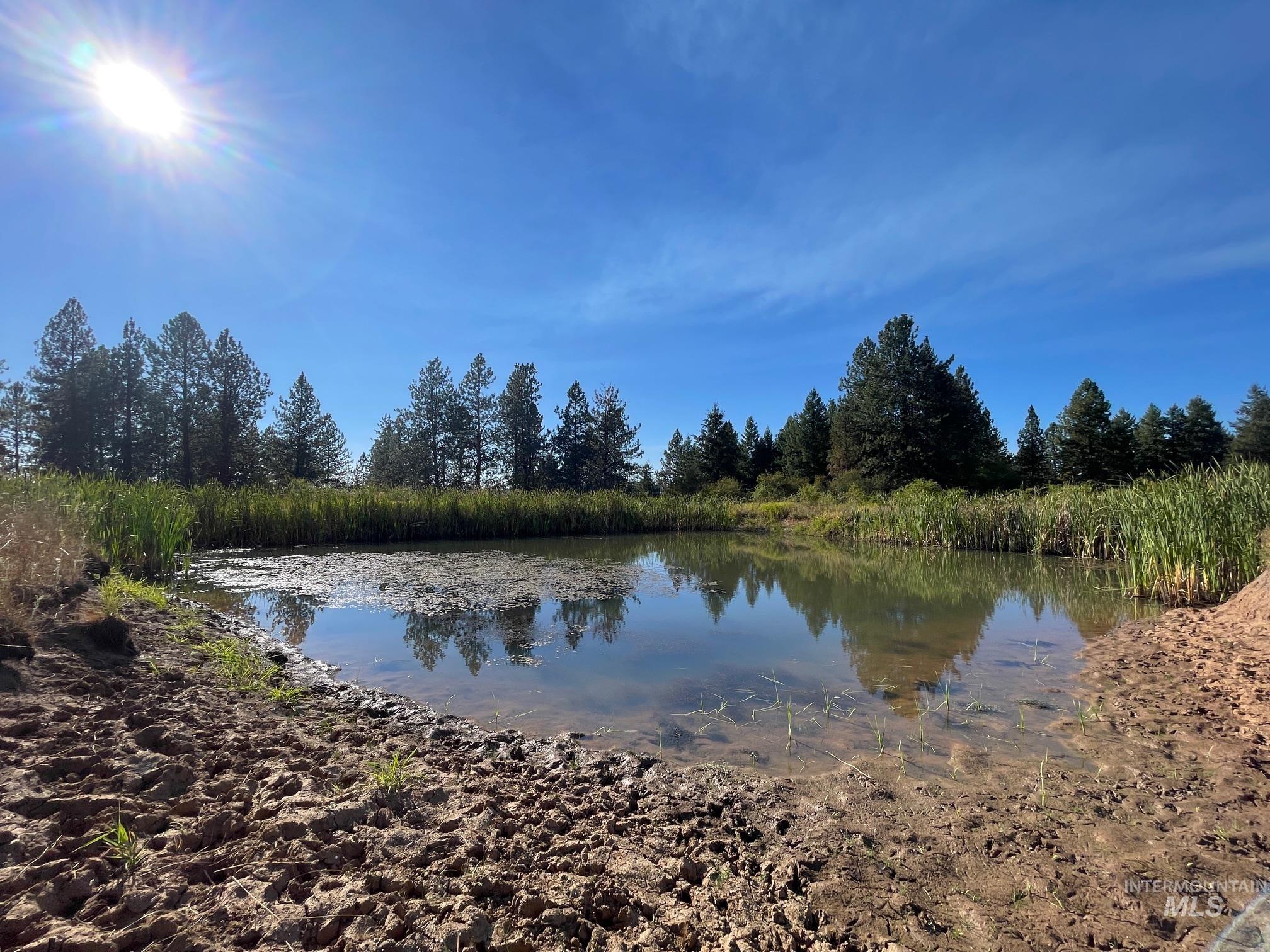 181 Harris Ridge Loop Property Photo 12