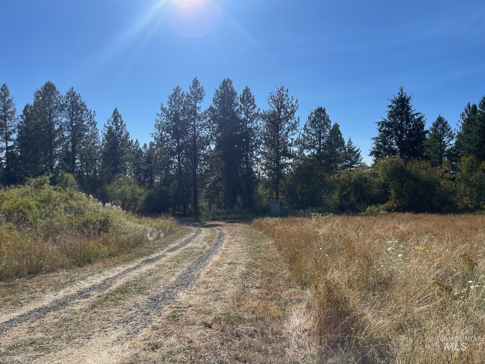 181 Harris Ridge Loop Property Photo 13