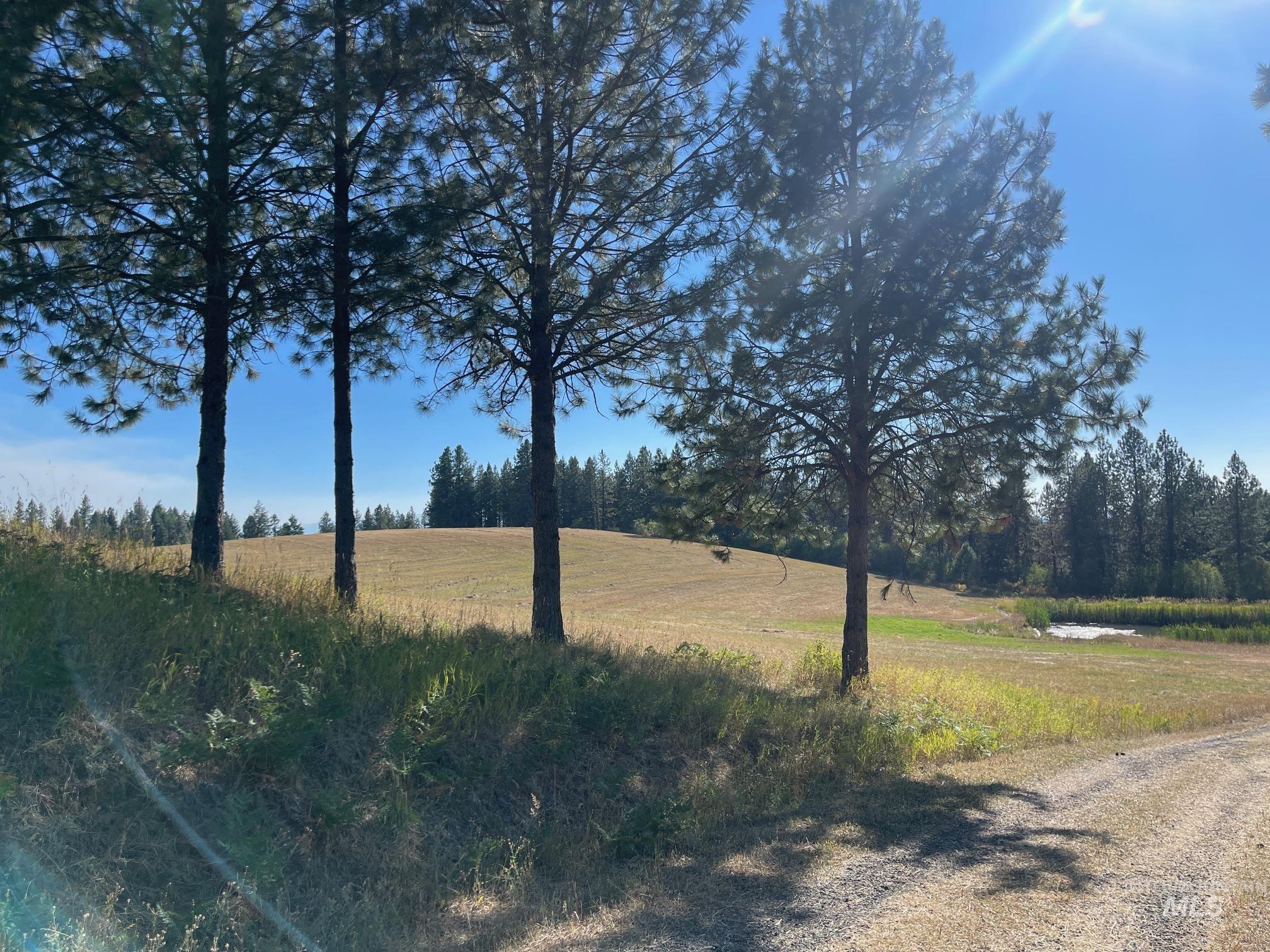 181 Harris Ridge Loop Property Photo 14