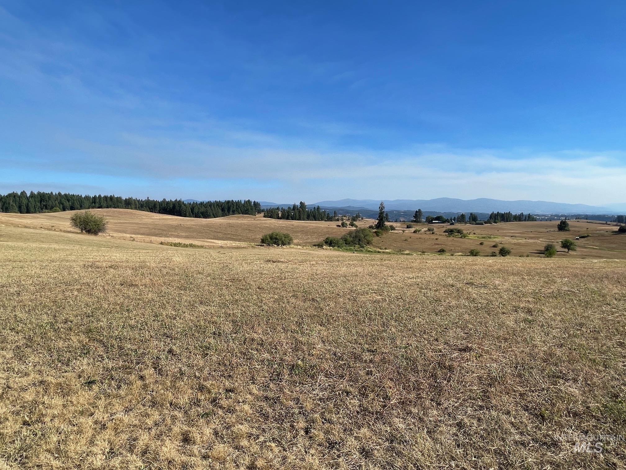 181 Harris Ridge Loop Property Photo 16