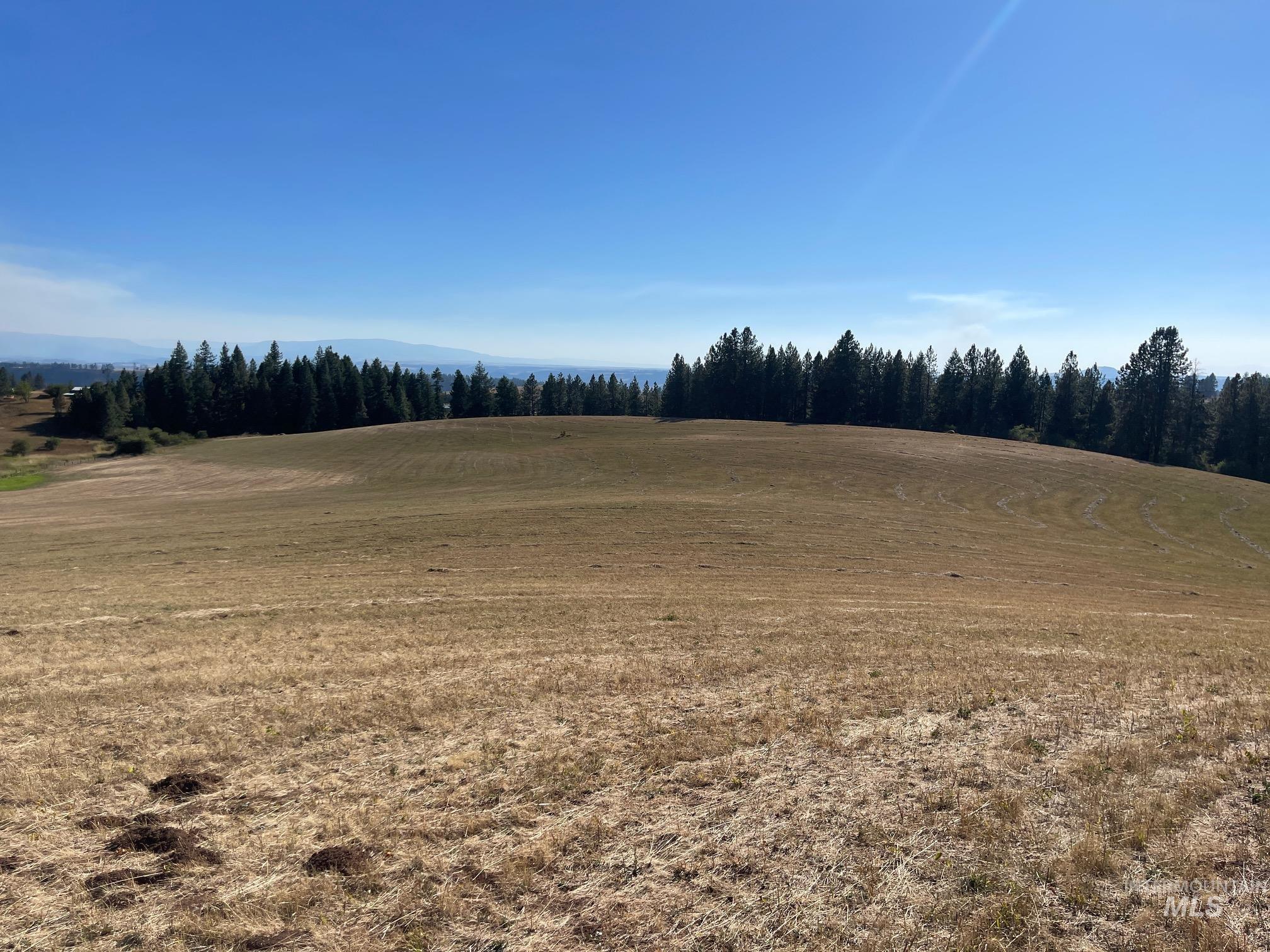 181 Harris Ridge Loop Property Photo 17