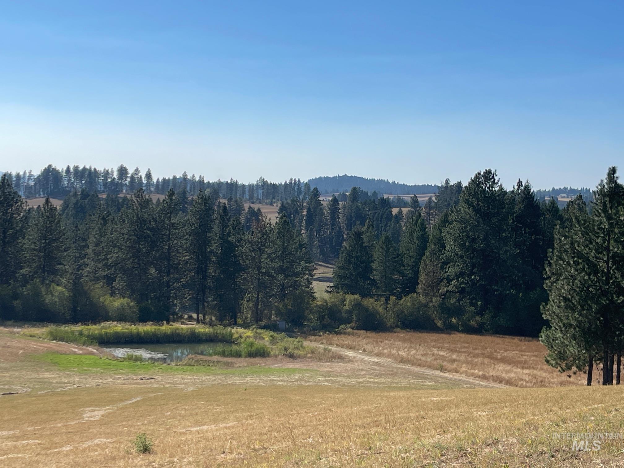 181 Harris Ridge Loop Property Photo 18