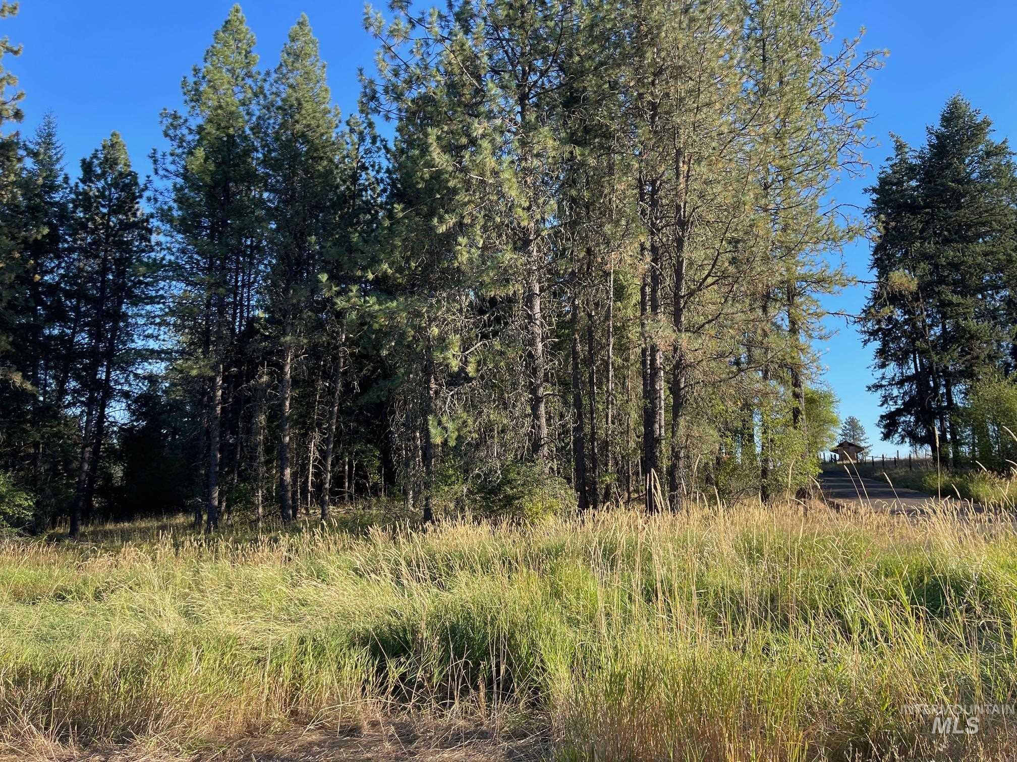 181 Harris Ridge Loop Property Photo 42