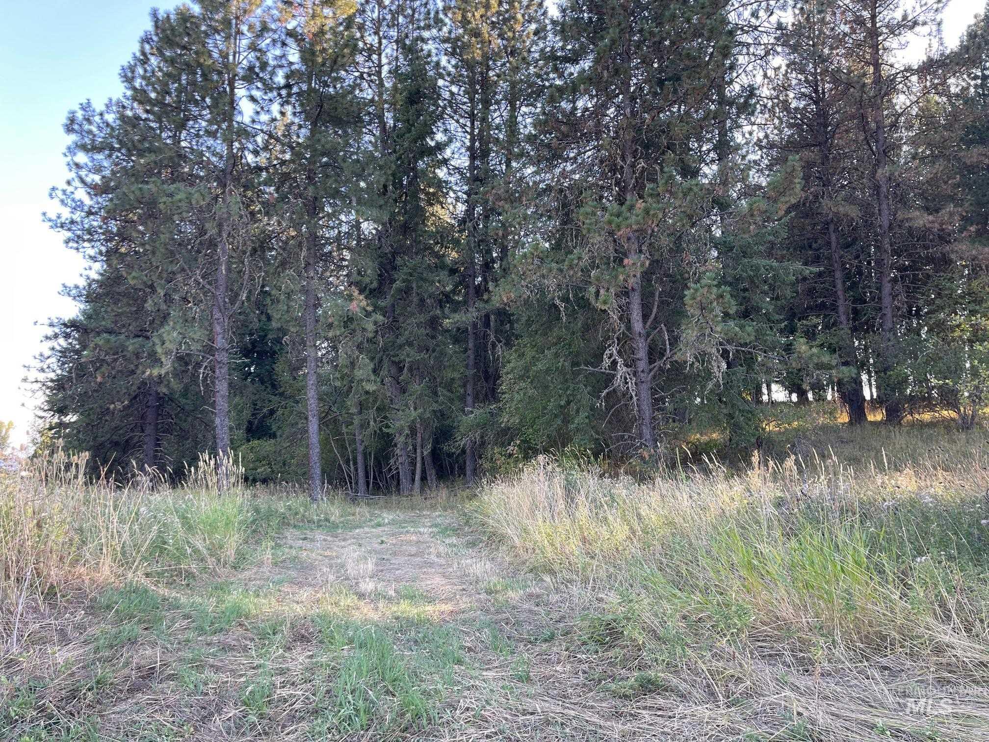 181 Harris Ridge Loop Property Photo 43