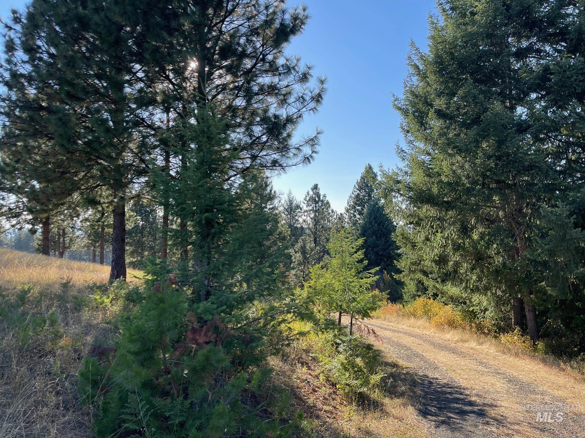 181 Harris Ridge Loop Property Photo 47