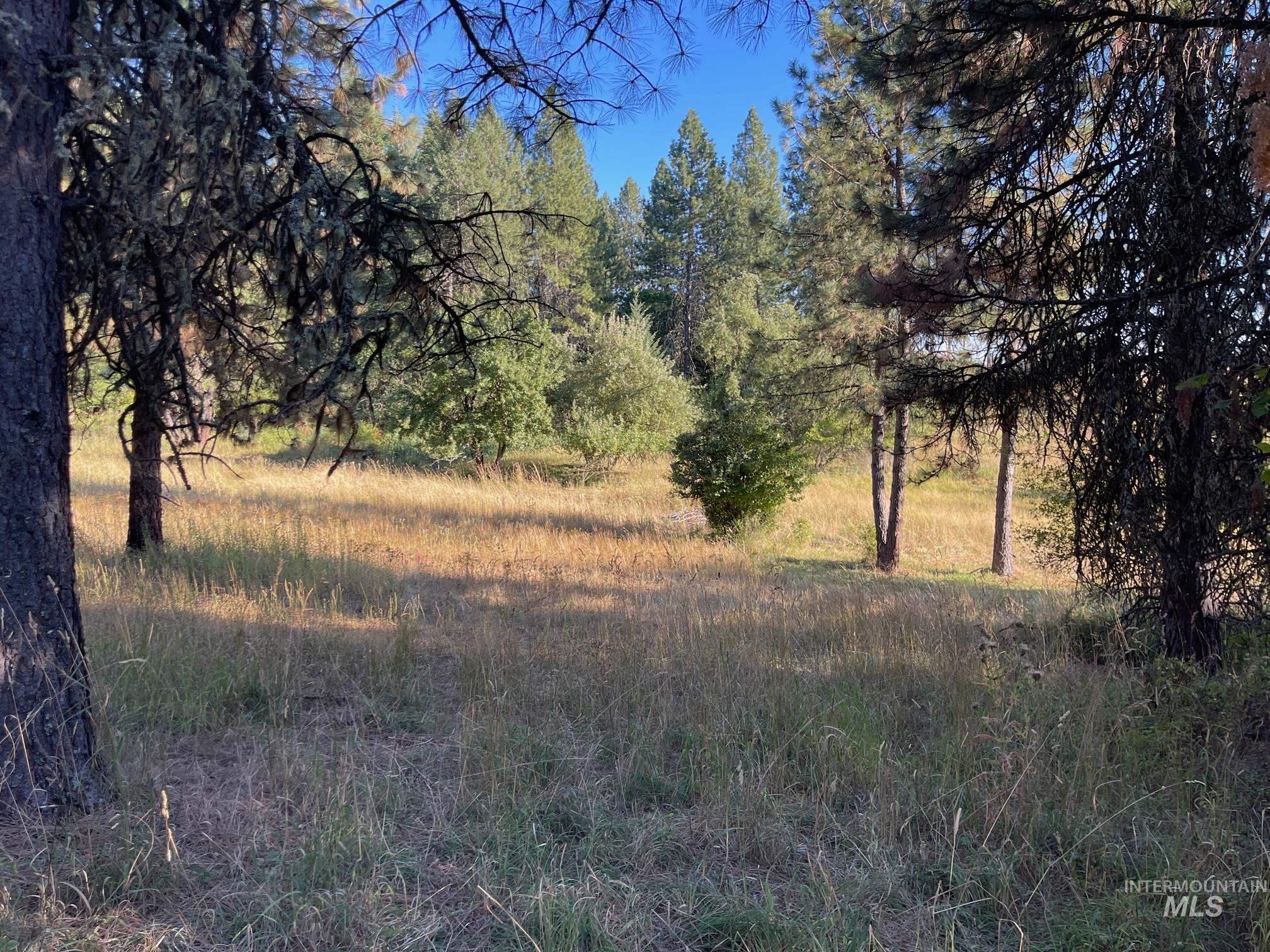 181 Harris Ridge Loop Property Photo 48