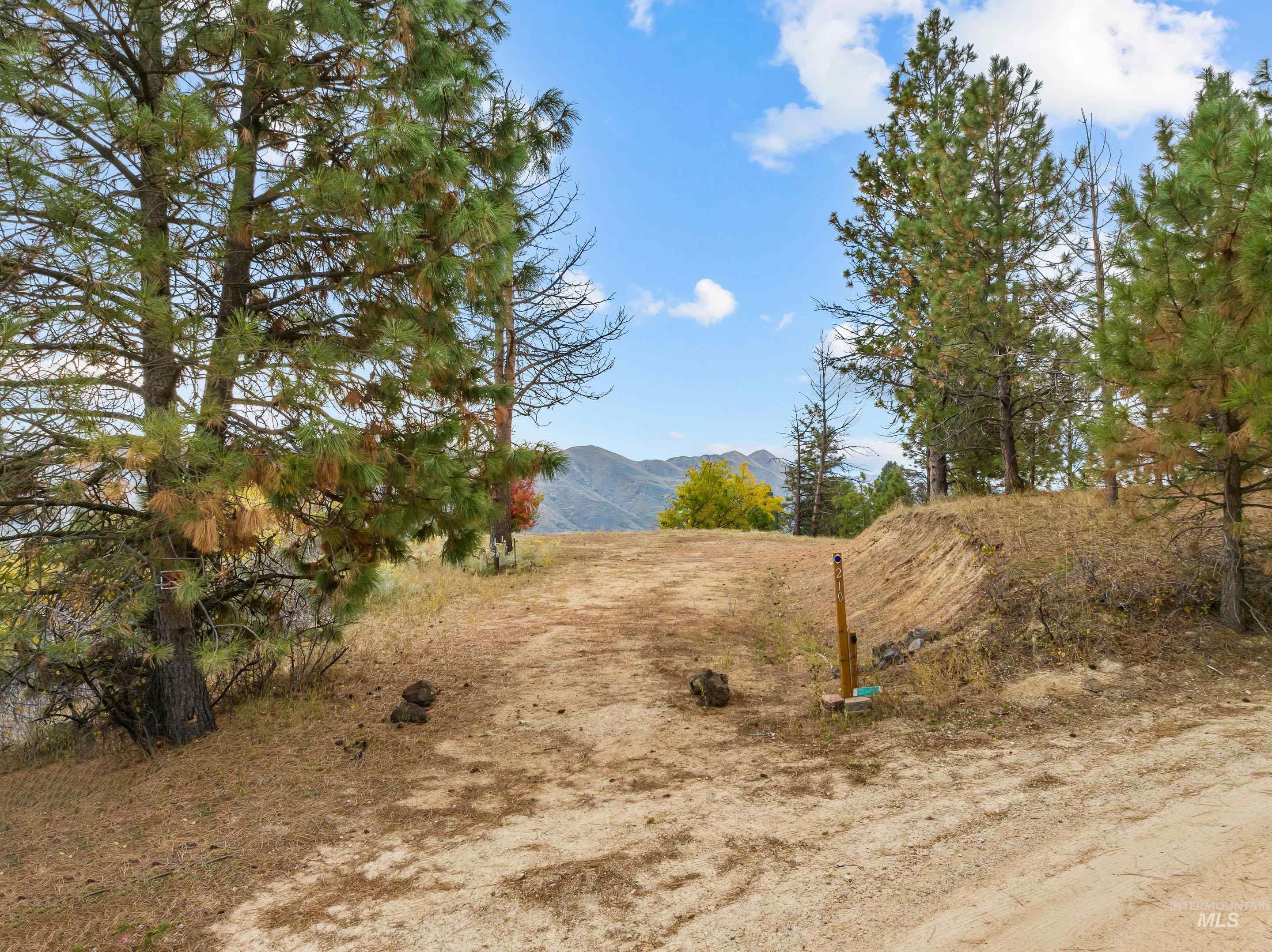 210 Evergreen Dr Property Photo 3