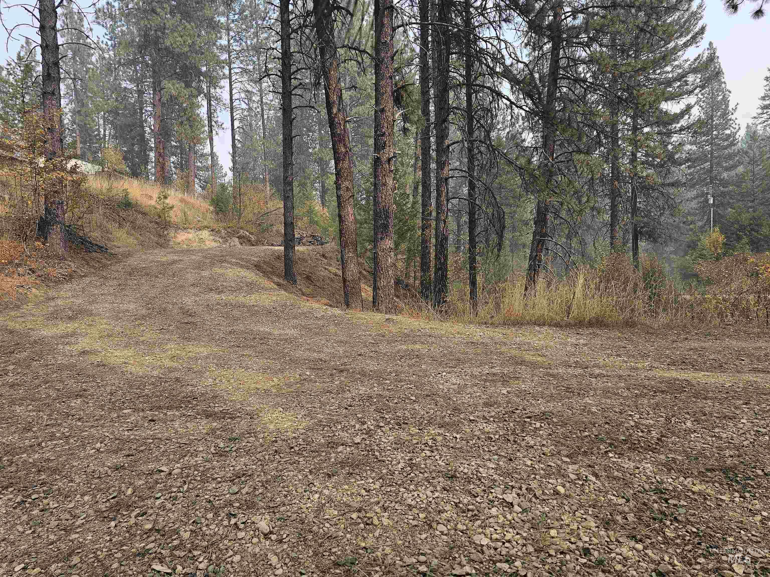 Tbd Lot 53 Castle Mountain Dr Property Photo
