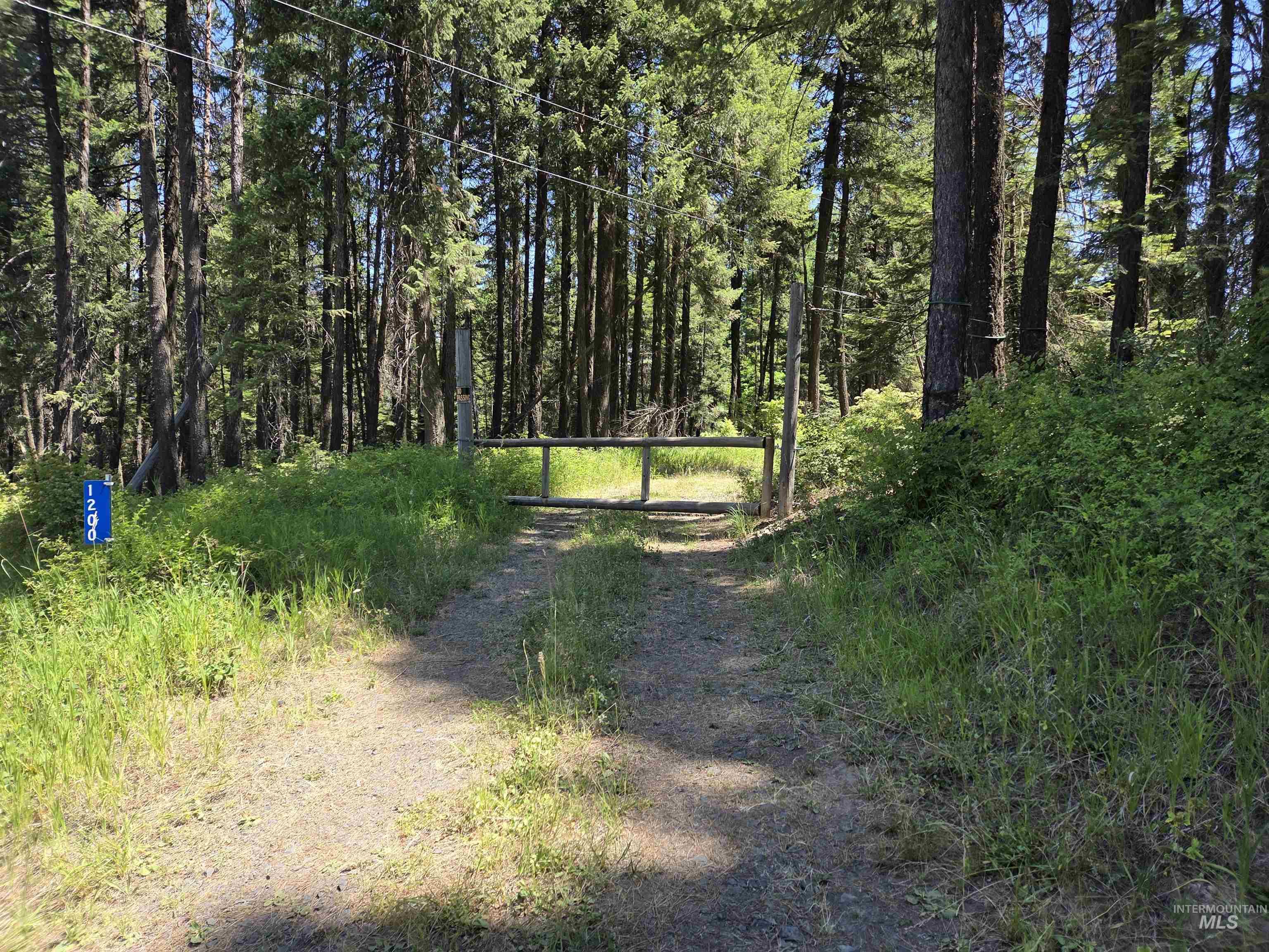 1200 White Pine Flats Rd Property Photo 1